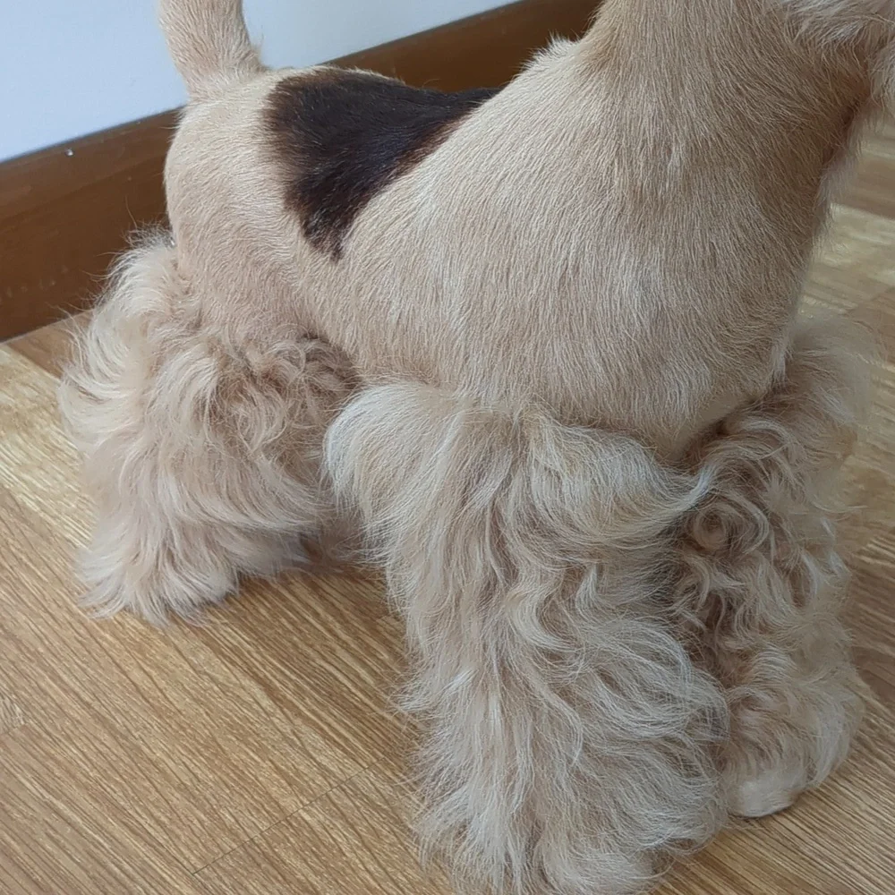 Dog Model Display, Terrior Breed, Lifelike Dog Pet
